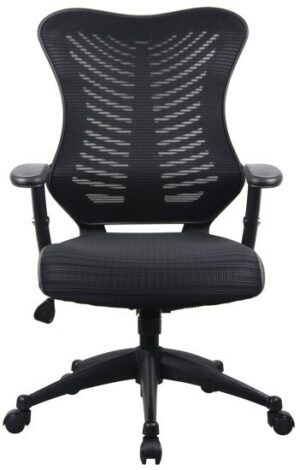 כסא משרדי ארגונומי אורתופדי מתכוונן דגם Proback 1000 מבית Fizzio - צבע שחור