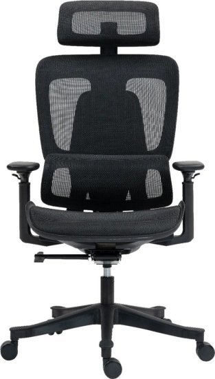 373865_b_1.jpg כיסא משרדי ארגונומי דגם AIRP1 סדרת Air Flex Pro מבית Dragon Smart Tech - צבע שחור