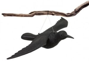 דחליל עורב פרוש כנפיים Greenplace