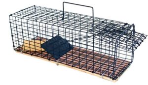 239538_b_1.jpg מלכודת פלדה הומנית נגד עכברים וחולדות Black Mamba מבית Greenplace