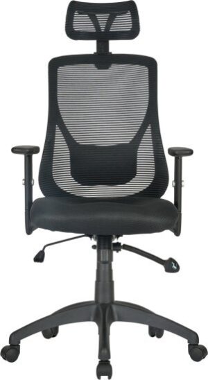 כסא מנהלים ארגונומי ואורתופדי מתכוונן דגם Lead מבית Fizzio - צבע שחור