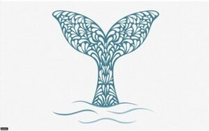 שטיח אמבטיה עם פטנט ספיגה 50x80 ס''מ דגם Art Whale Tail מבית Fennoma - צבע כחול ולבן