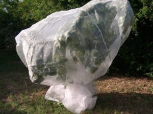 רשת הגנה לעצים Playa - גודל 7x7 מטר - צבע לבן