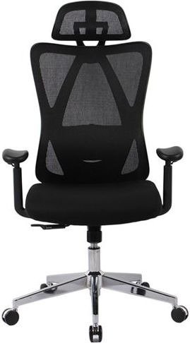 כסא מנהלים ארגונומי ואורתופדי דגם Zone מבית Fizzio - צבע שחור