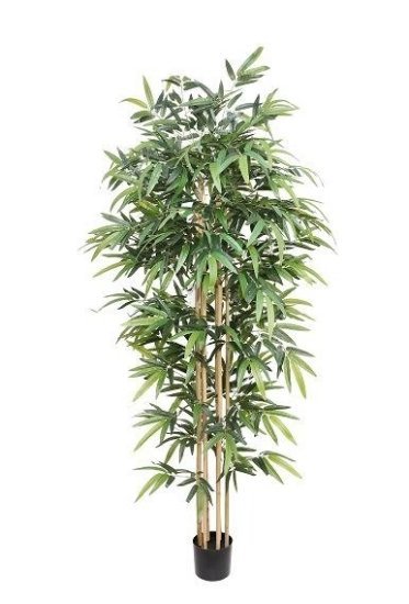 עץ במבוק מלאכותי גובה 1.80 מטר לשימוש פנימי דקורטיבי מבית אמגזית