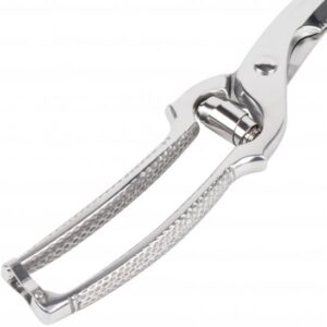 מספריים מקצועיים מנירוסטה לחיתוך עופות 25 סנטימטר Victorinox Swis