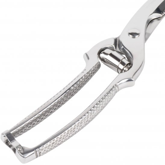 מספריים מקצועיים מנירוסטה לחיתוך עופות 25 סנטימטר Victorinox Swis